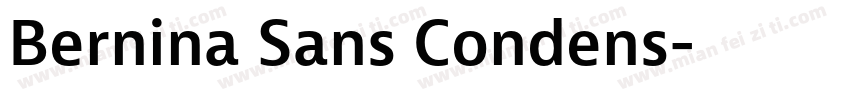 Bernina Sans Condens字体转换